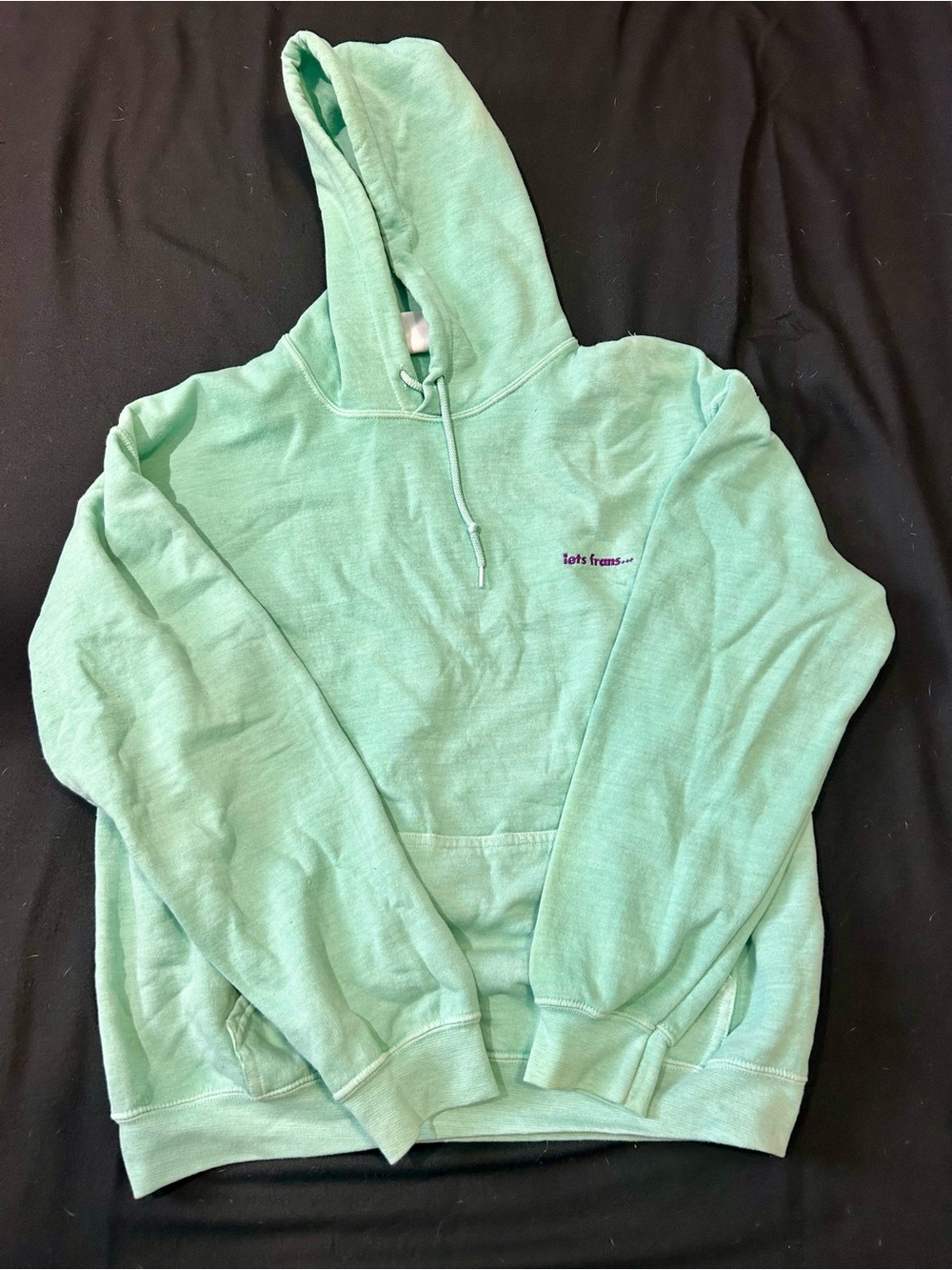 iets frans Mint Green Women's Hooded Sweater Medium